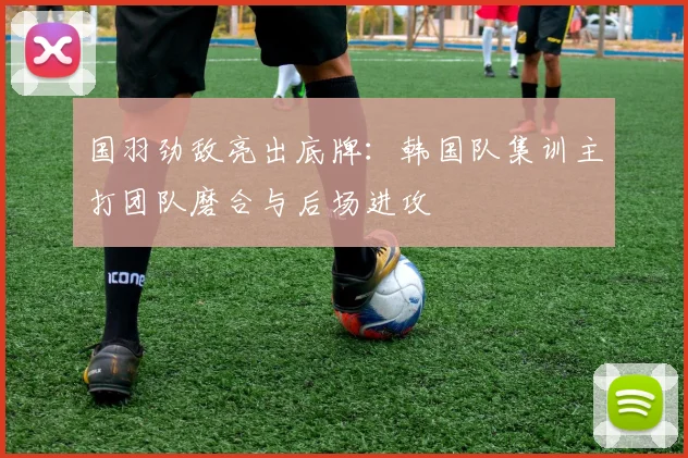 国羽劲敌亮出底牌：韩国队集训主打团队磨合与后场进攻