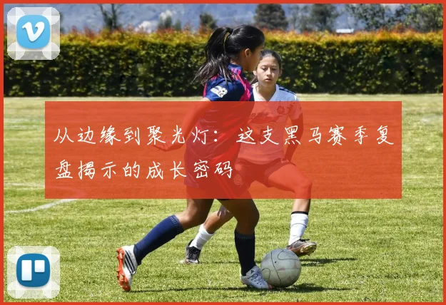 从边缘到聚光灯：这支黑马赛季复盘揭示的成长密码