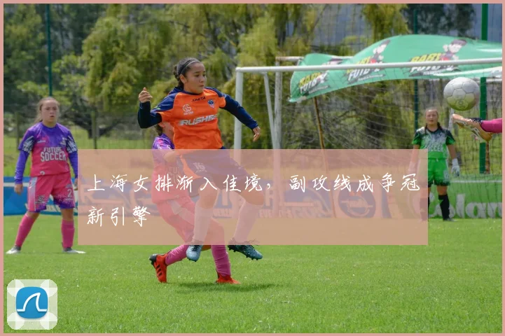 上海女排渐入佳境，副攻线成争冠新引擎